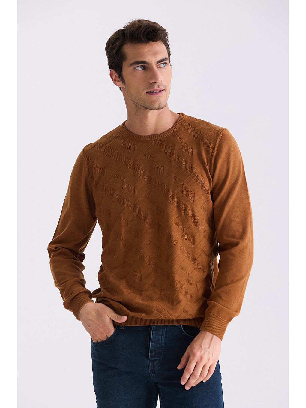 Kahverengi Tarçın Slim Fit Bisiklet Yaka Desenli Triko Kazak