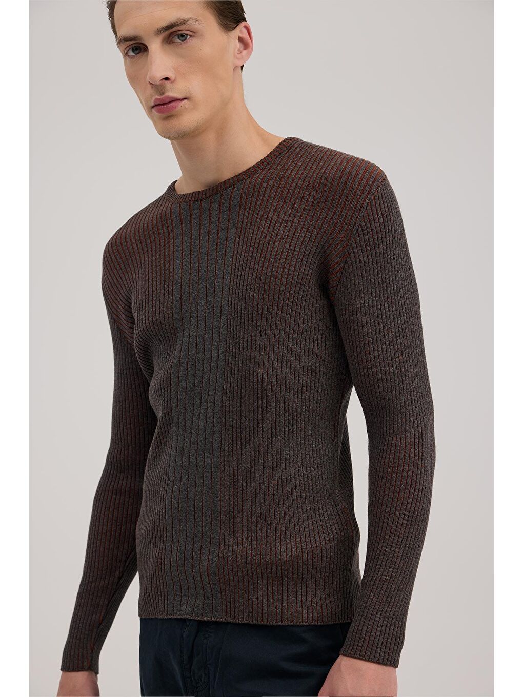 Antrasit Tarçın Slim Fit Desenli Bisiklet Yaka Triko-2