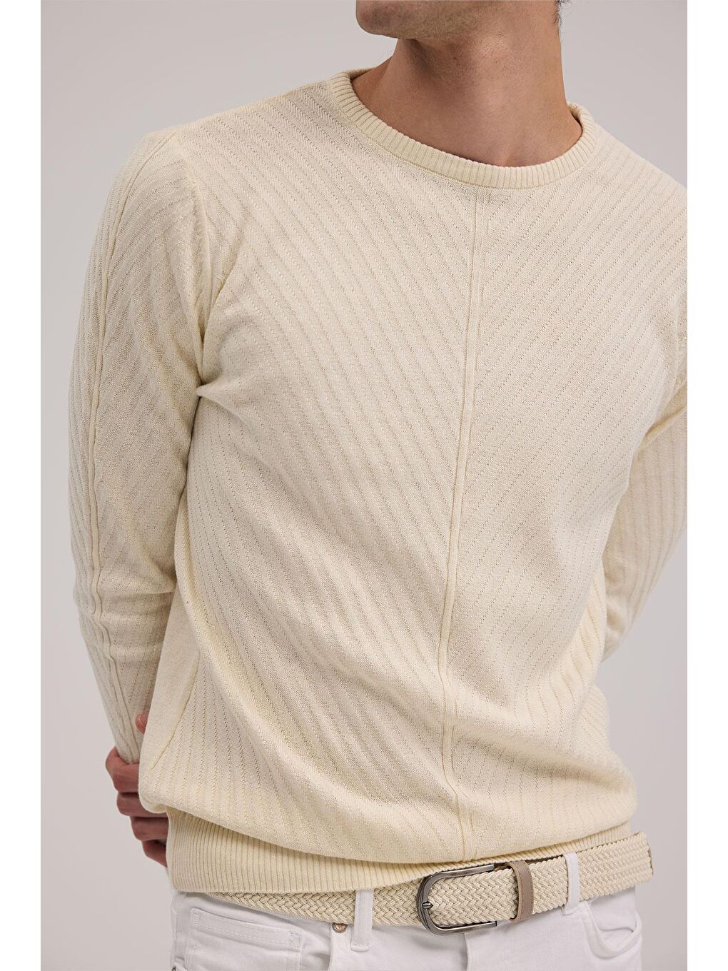 Ekru Bej Slim Fit Desenli Bisiklet Yaka Triko-2