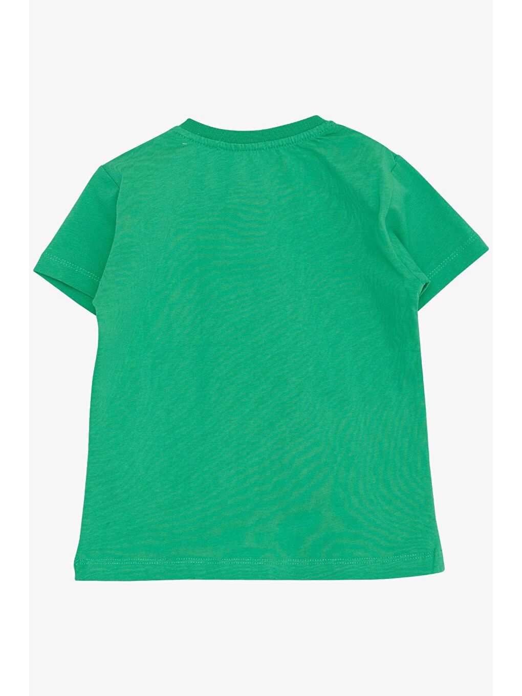 Erkek Çocuk Tişört Orman Temalı Komik Dinozorlar Baskılı Yeşil (2-6 Yaş)-1