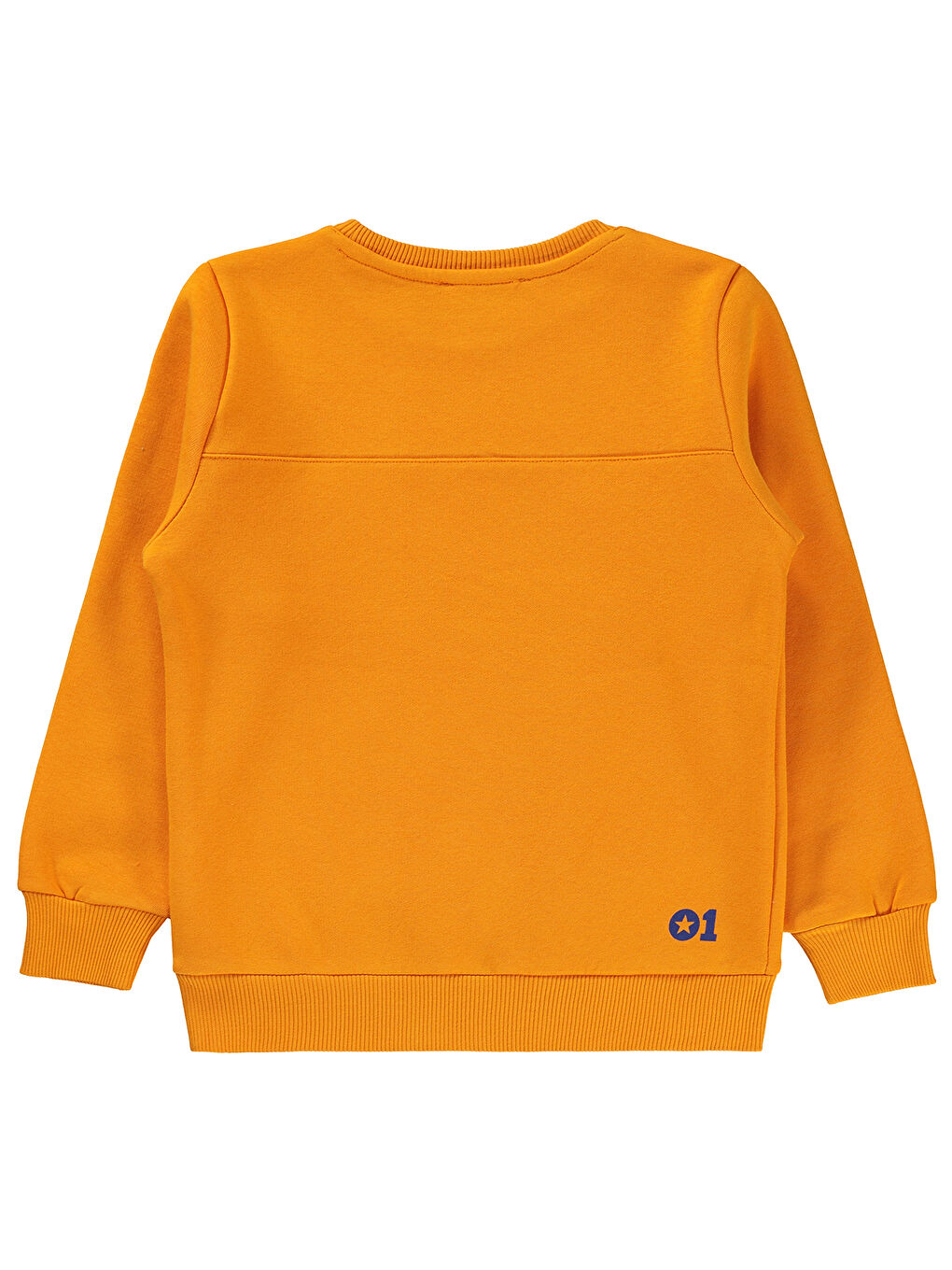 Civil Turuncu Erkek Çocuk Sweatshirt 6-9 Yaş Açık Oranj - 1