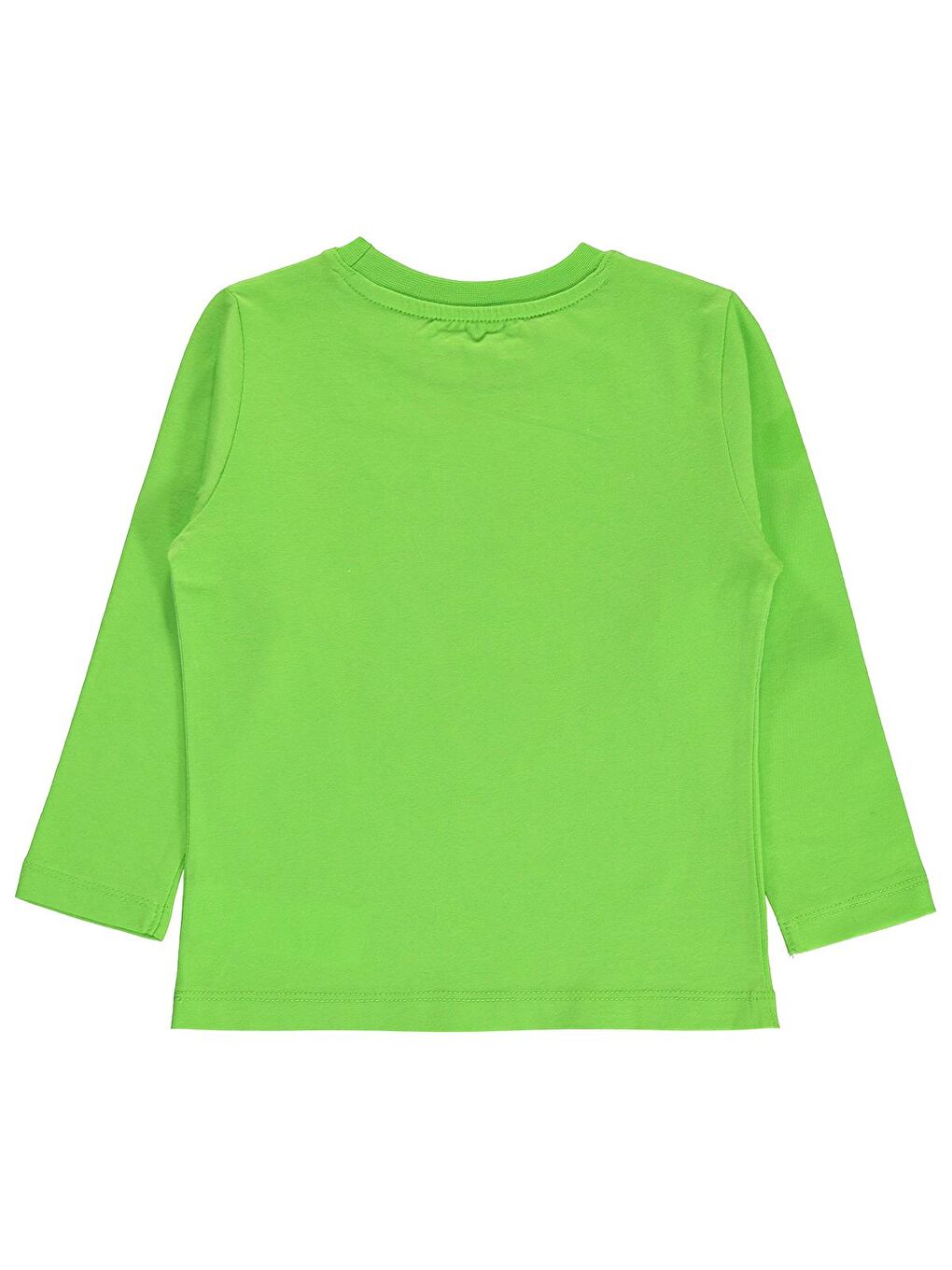 Yeşil Boys Erkek Çocuk Sweatshirt 2-5 Yaş Limon-1