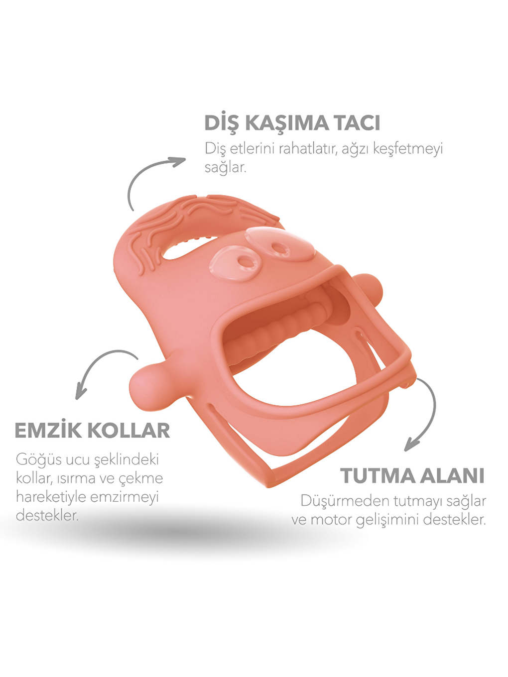 Diş Kaşıyıcı Somon-1