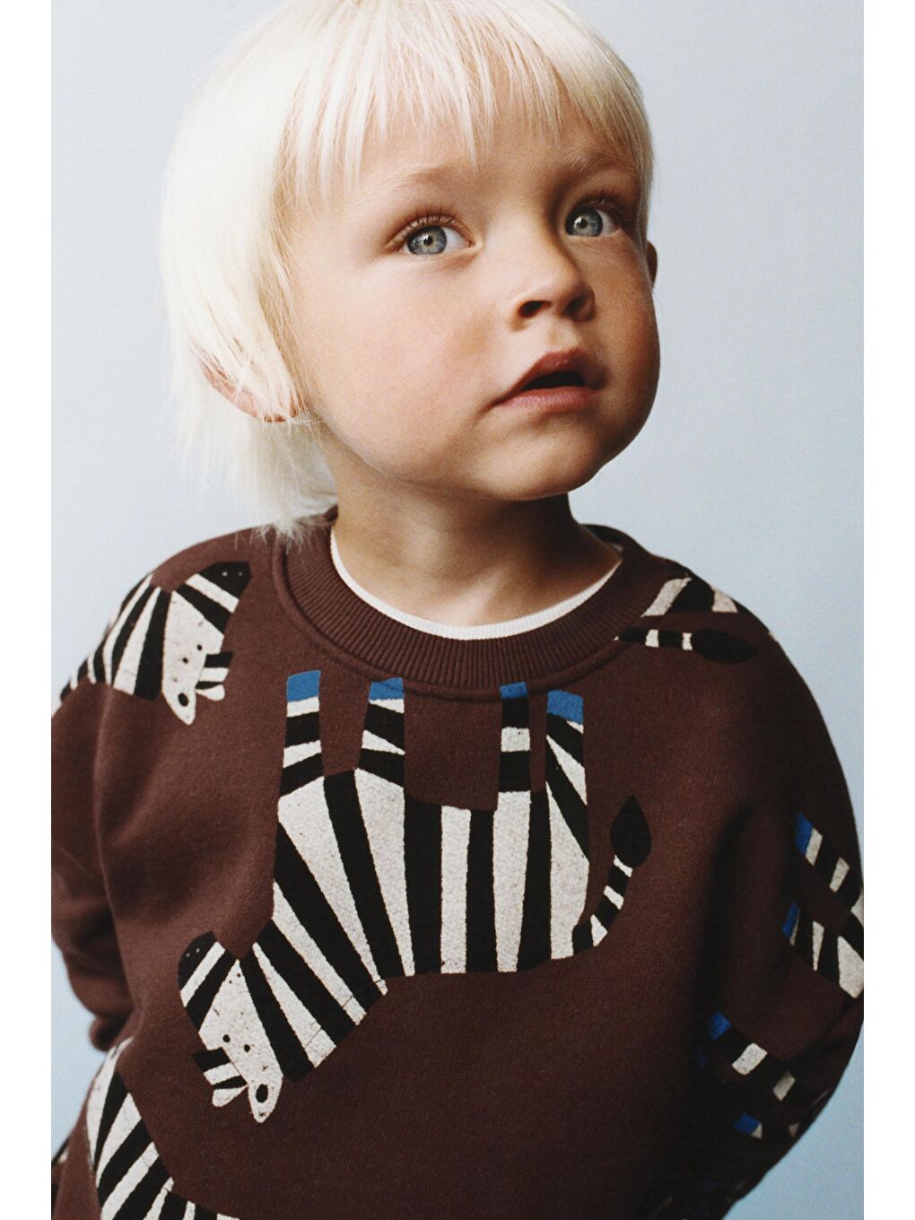 Erkek Çocuk Pamuklu Kahverengi Zebra Desenli Sweatshirt Ve Eşofman Altı Takım – Günlük Rahat Kombin-3