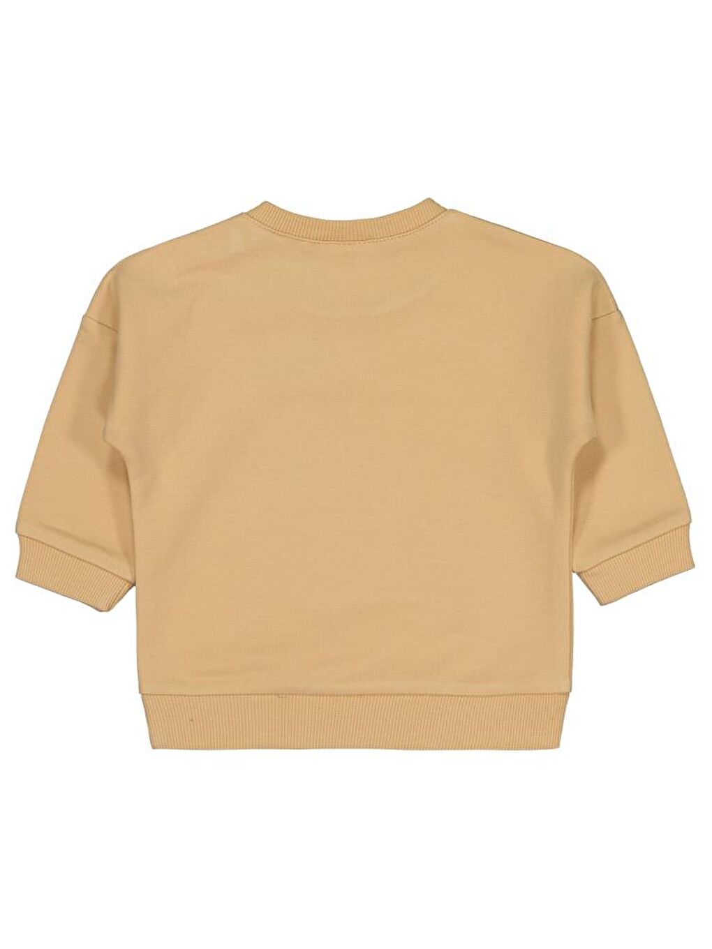 Baby Basic Timeless 6-18 Ay Sweatshirt - Kahverengi 9-12 Ay-1