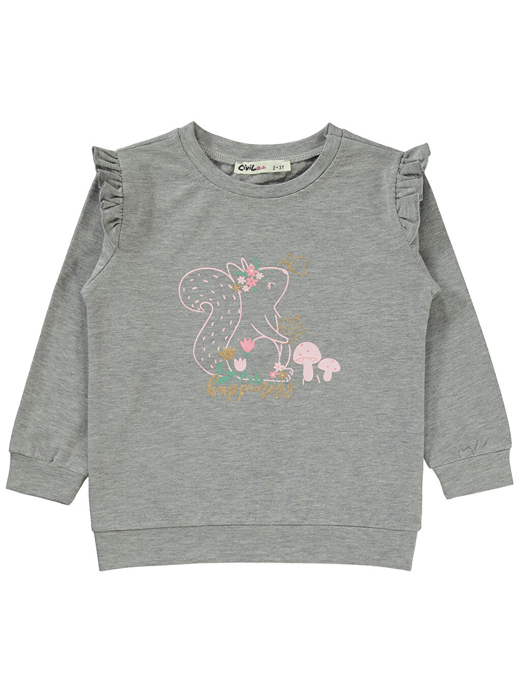 Civil Gri Melanj Girls Kız Çocuk Sweatshirt 2-5 Yaş Grimelanj