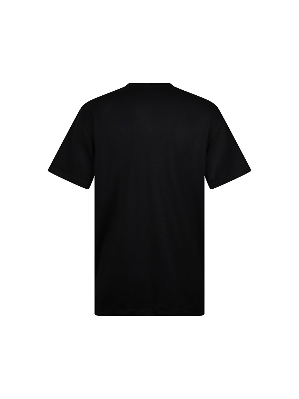 Siyah Regular Fit Bisiklet Yaka Pamuklu Basic Tişört-1