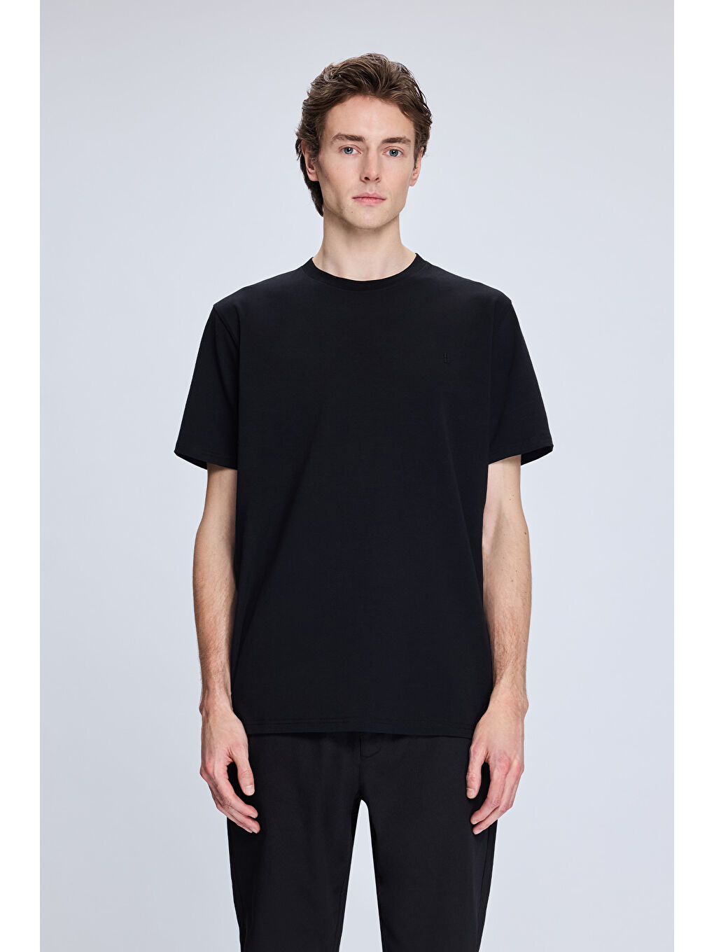 Siyah Regular Fit Bisiklet Yaka Pamuklu Triko Tişört