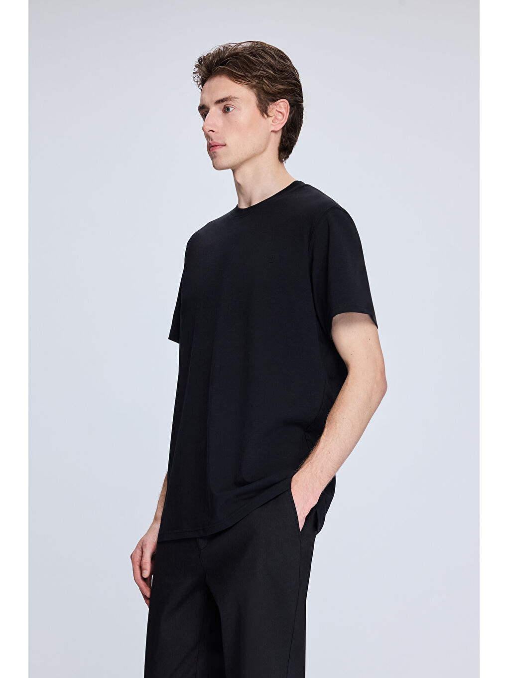 Siyah Regular Fit Bisiklet Yaka Pamuklu Triko Tişört-2