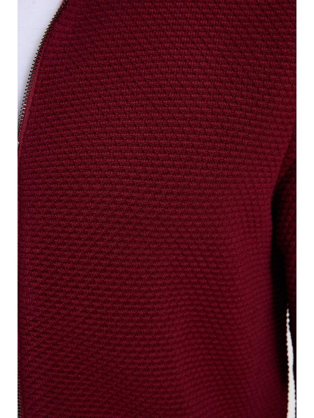 Erkek Standart Fit Normal Kesim Desenli Yarım Balıkçı Yaka Fermuarlı Bordo Hırka-6