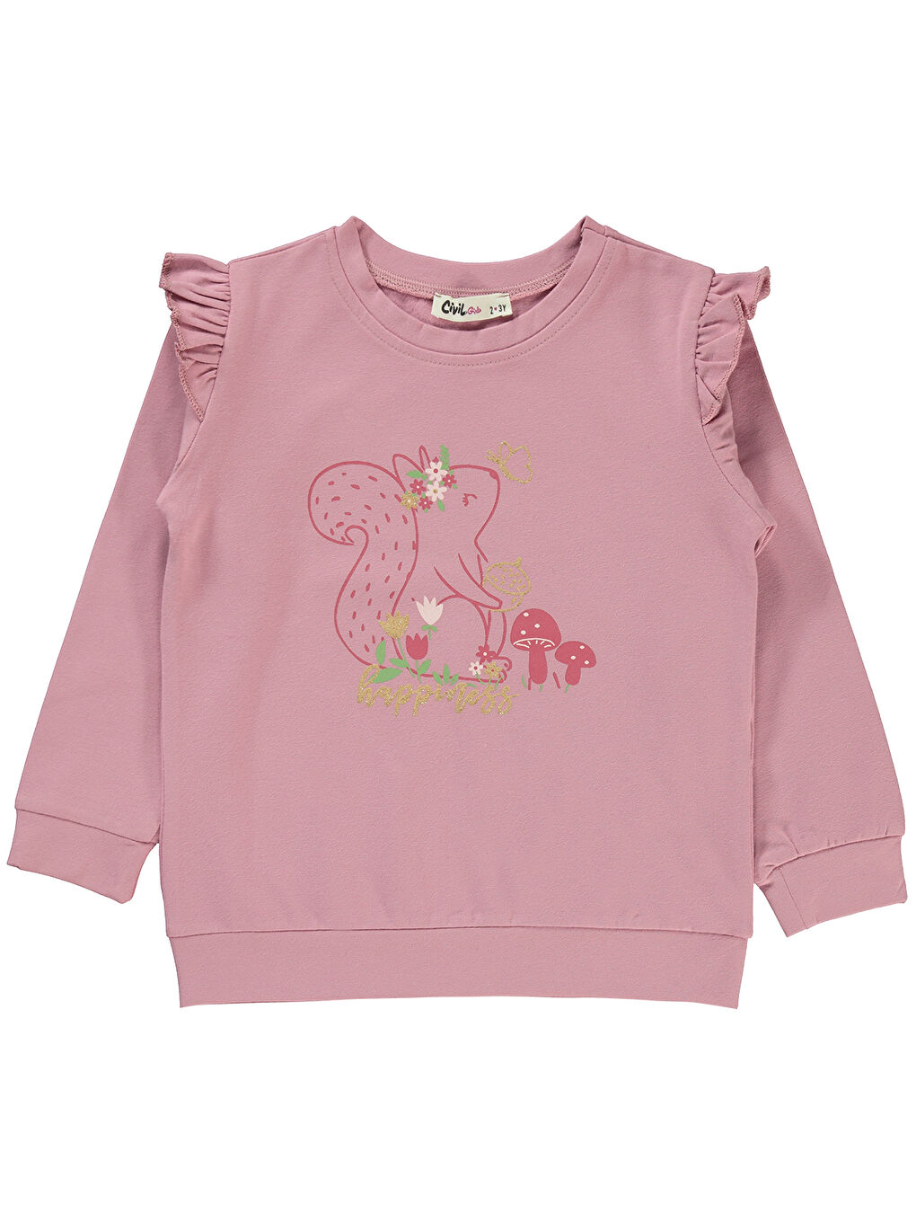 Civil Pudra Girls Kız Çocuk Sweatshirt 2-5 Yaş Pudra