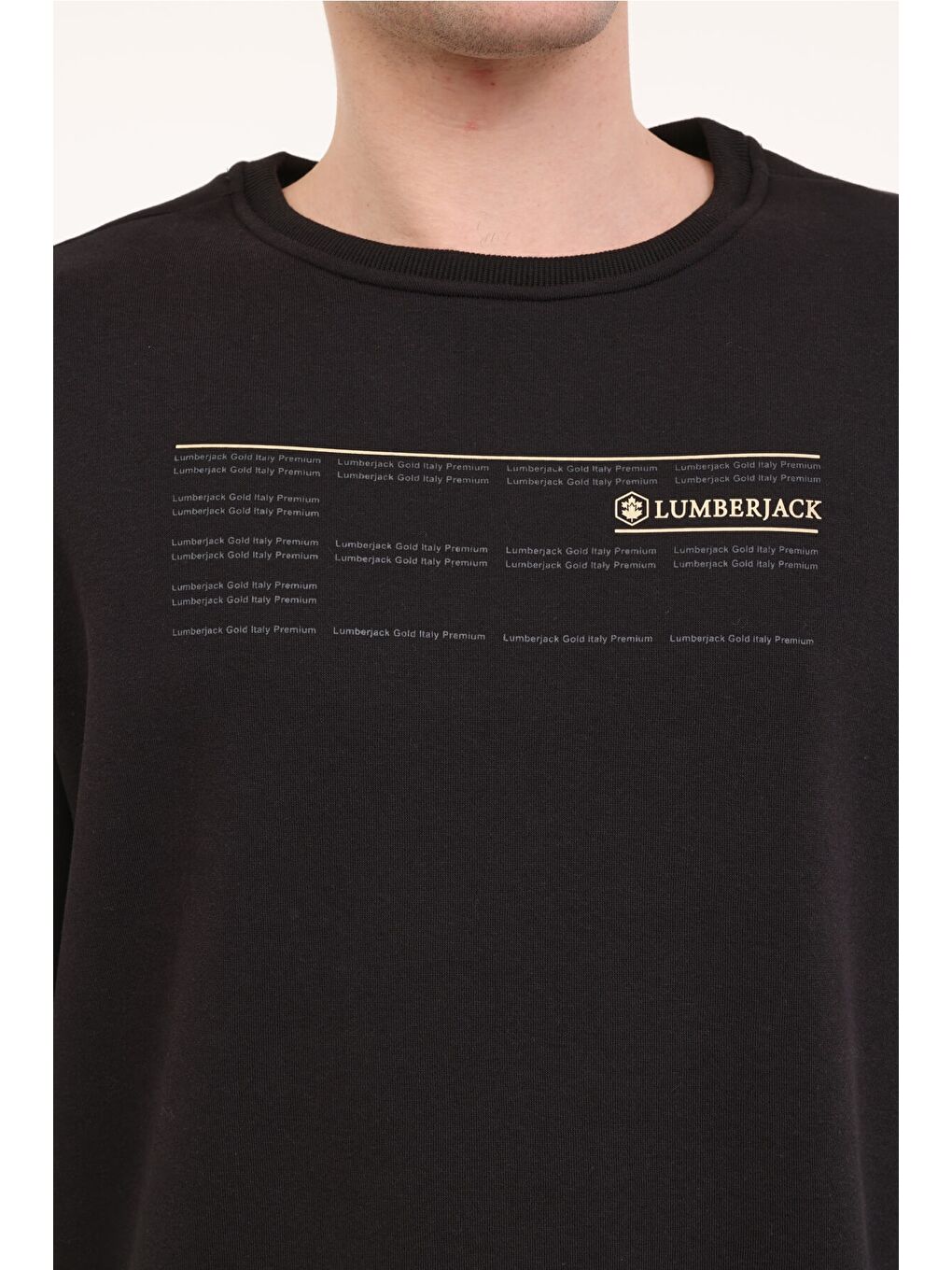 ML ZOME 16ITL-GD8 4PR Siyah Erkek Sweatshirt-3