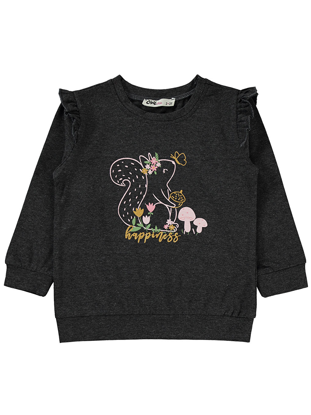 Civil Antrasit Girls Kız Çocuk Sweatshirt 2-5 Yaş Antrasit