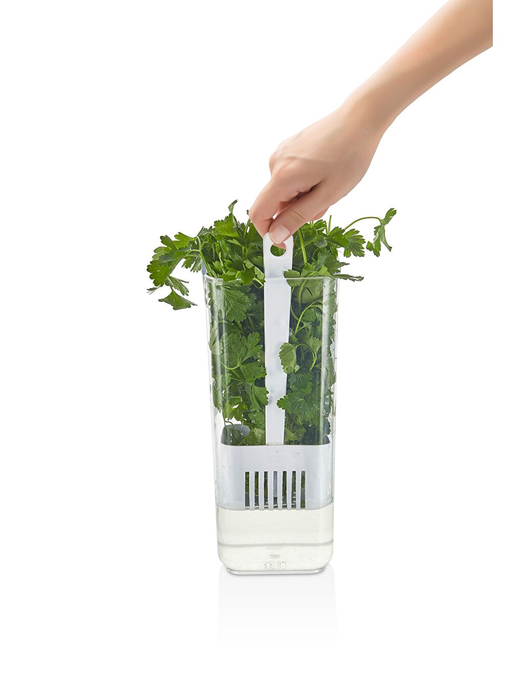 Beyaz Vip Ahmet VP-007 Suda Yeşillik Saklama Kabı 1700 ML-3