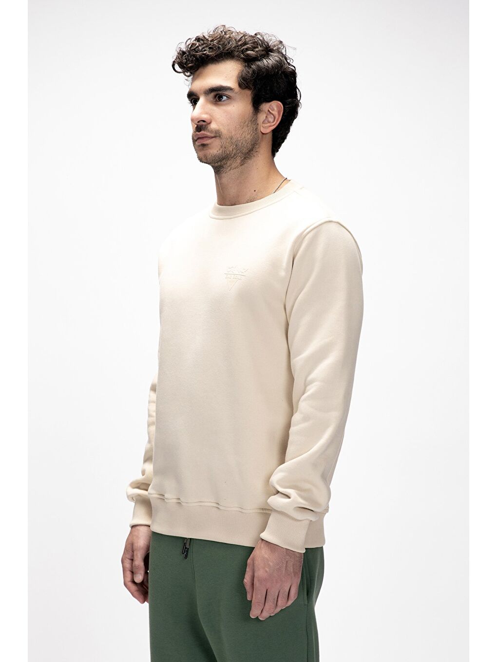 Windy Bej Crewneck Erkek Baskılı Sweatshirt-2