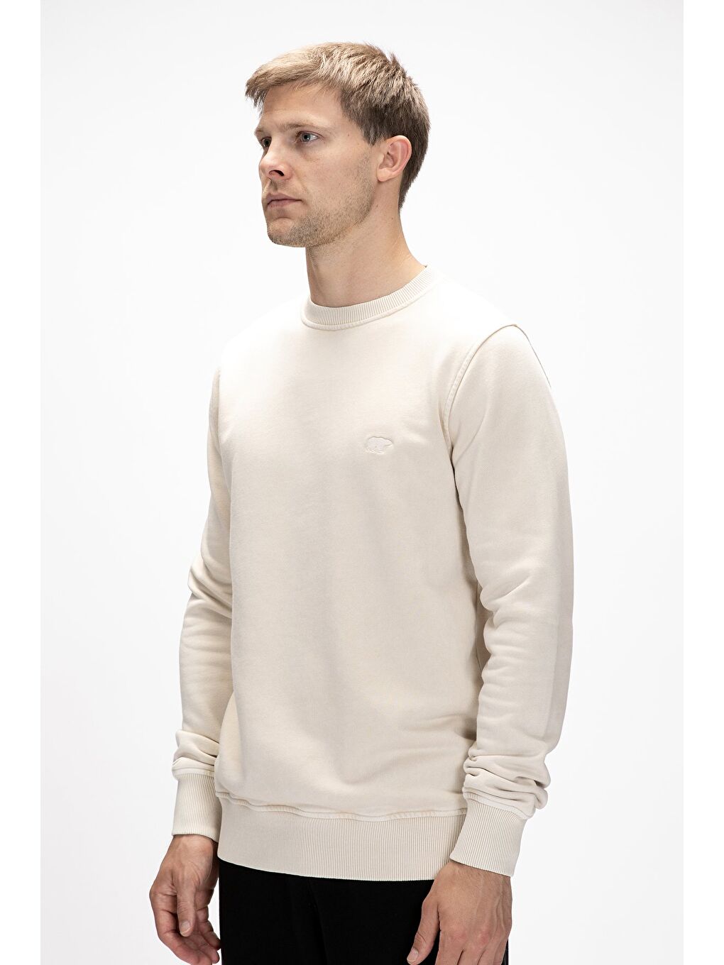 Dab Bej Crewneck Erkek Sweatshirt-1