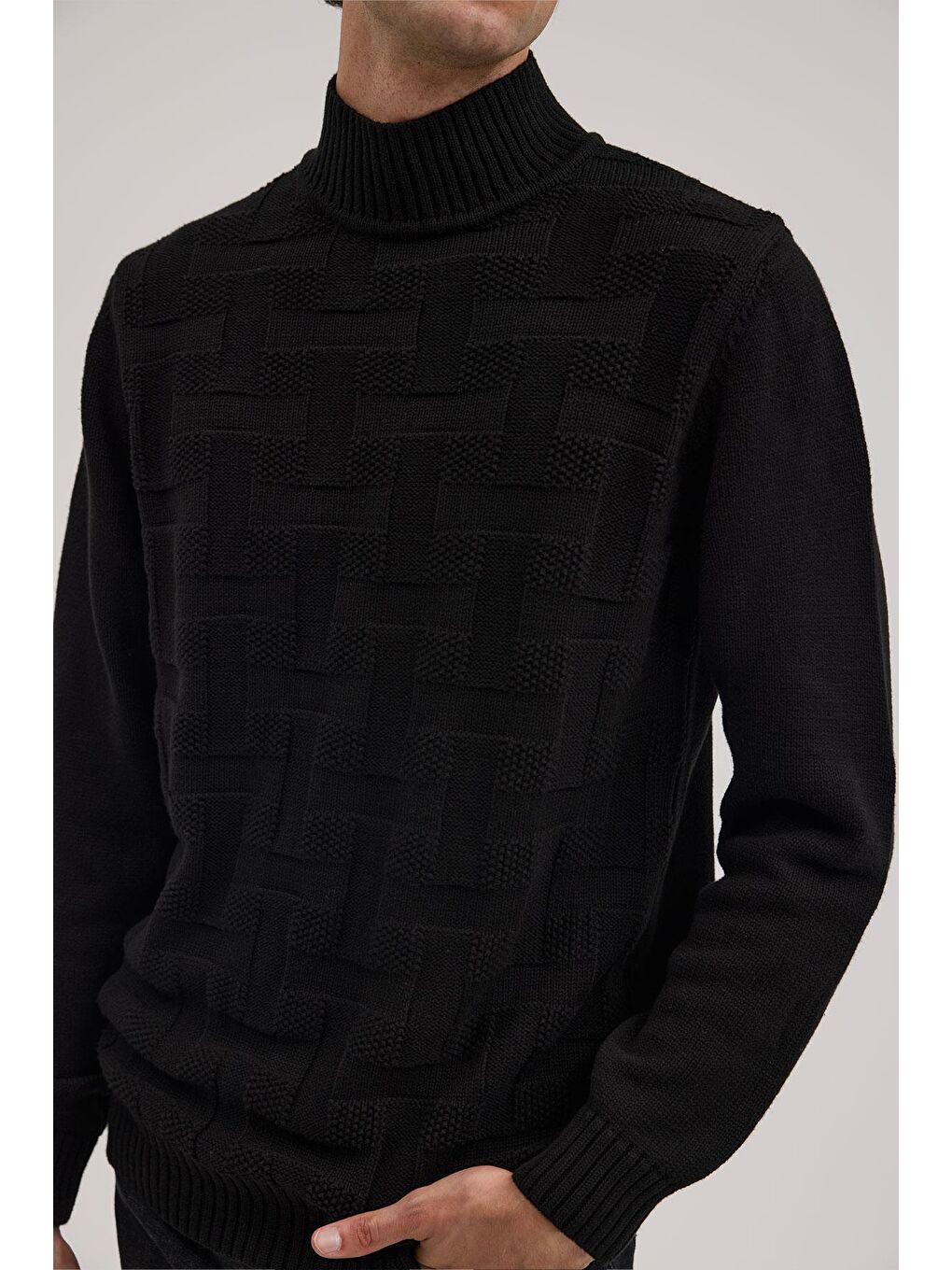 Siyah Slim Fit Desenli Pamuklu Tam Balıkçı Yaka Triko-2