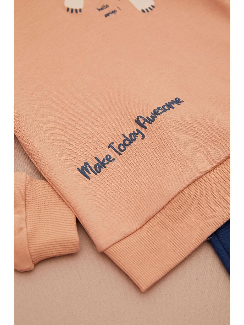 Kahverengi Kahve Aslan Baskılı Yazılı Erkek Bebek Takımı 17399-2