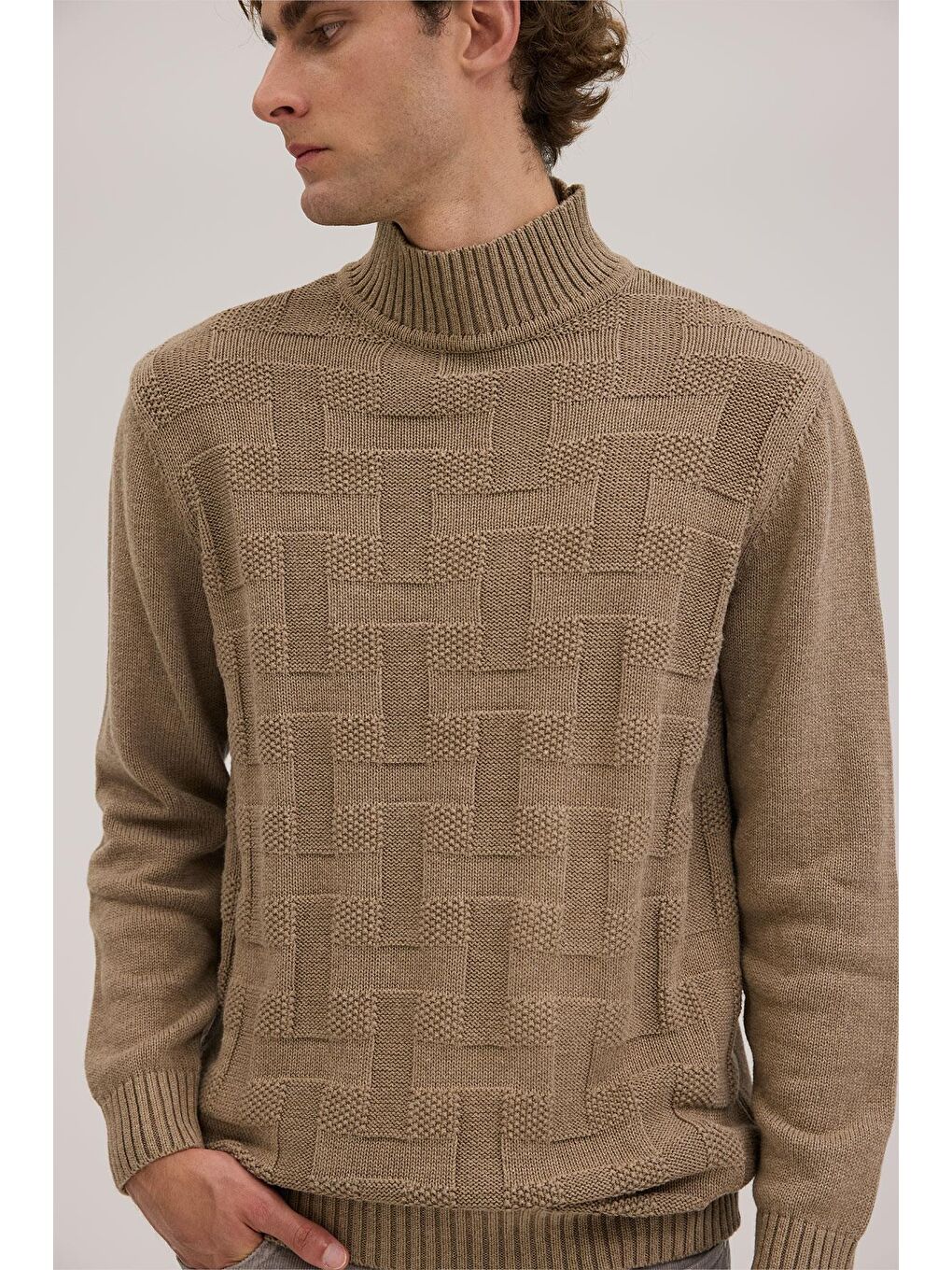 Bej Vizon Slim Fit Desenli Tam Balıkçı Yaka Triko-2