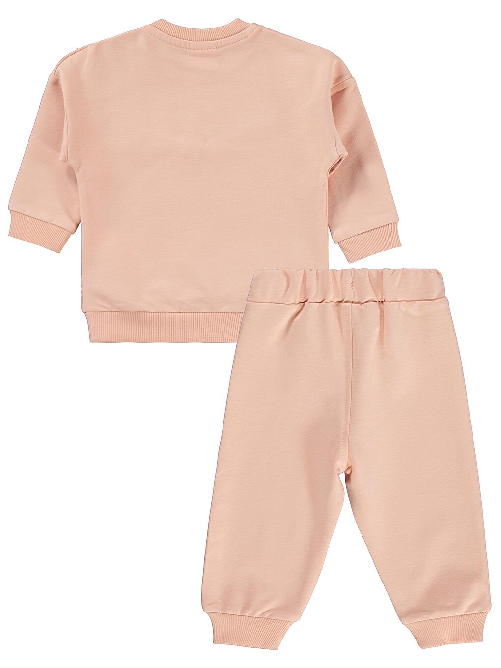 Pembe Baby Çiçek Nakışlı 6-18 Ay Takım - Pudra-2