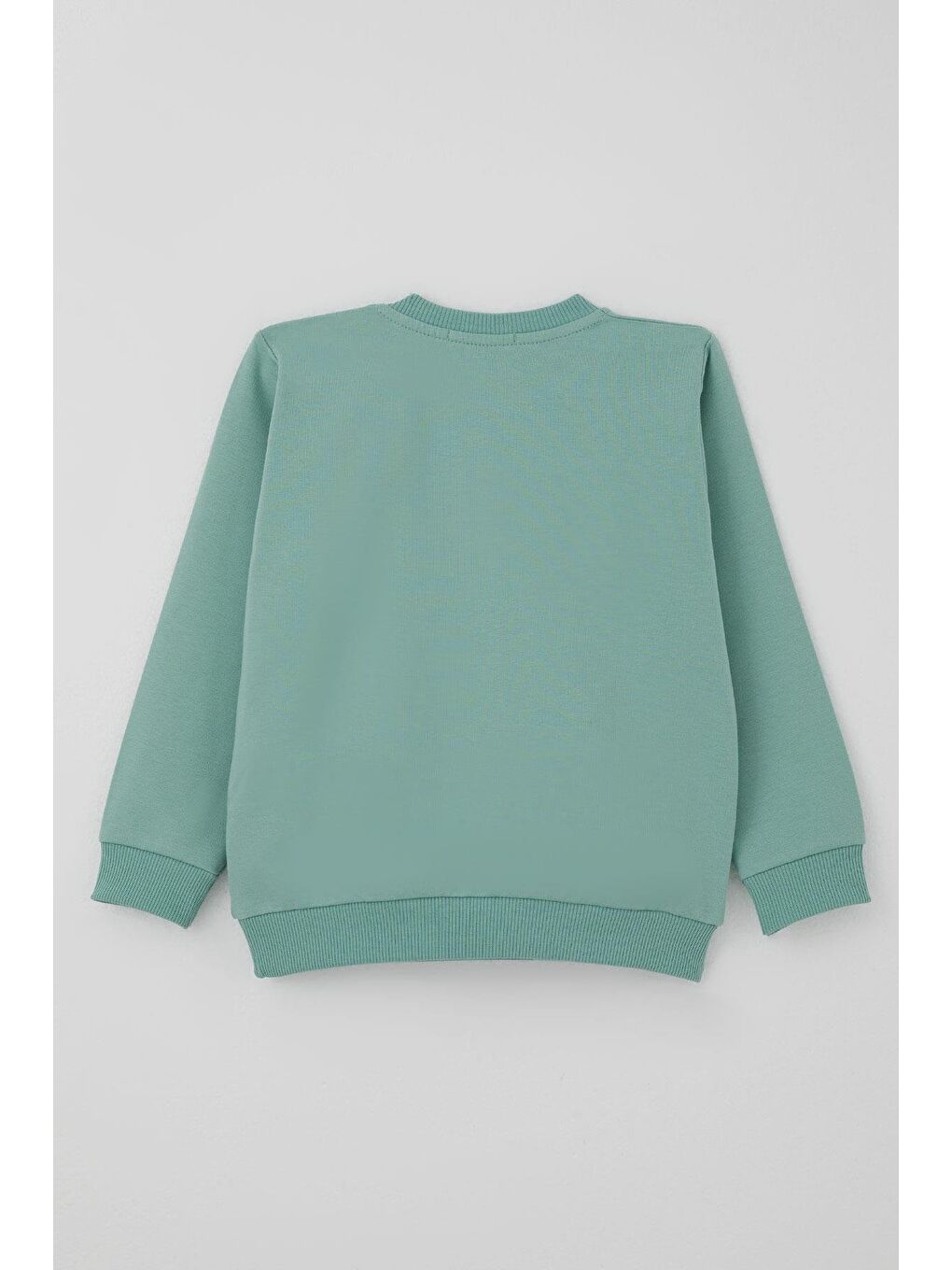 Turkuaz Erkek Bebek Eşofman Takımı Kulaklıklı Köpekçik Nakışlı Su Yeşili (9 Ay-3 Yaş)-3