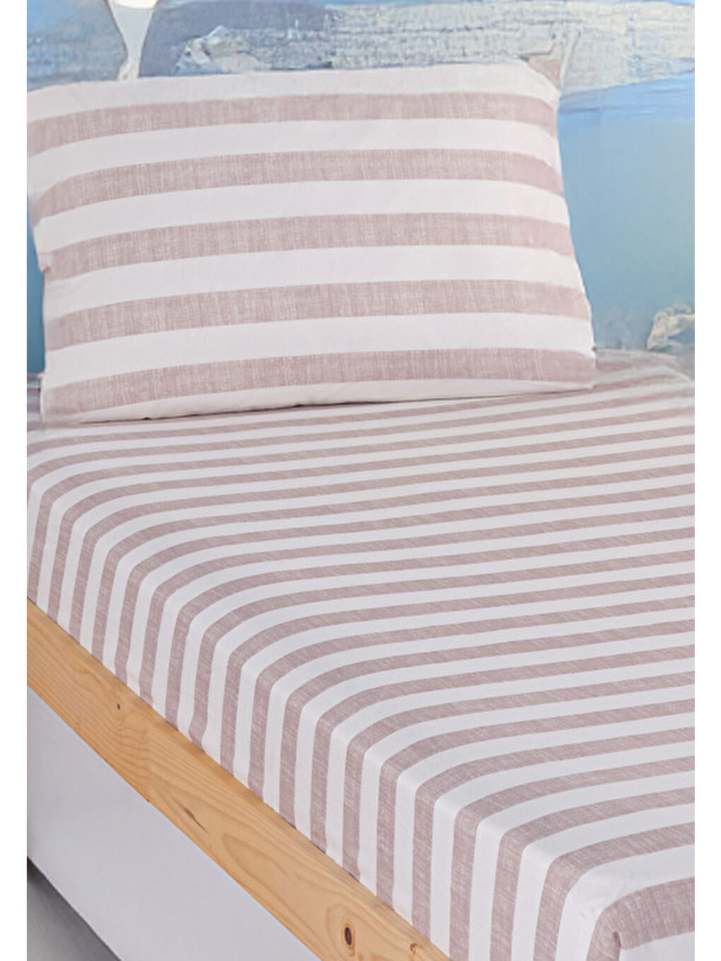 Pembe Pes Lastikli Çarşaf Seti Tek Kişilik Herz Gülkurusu Kombin-2