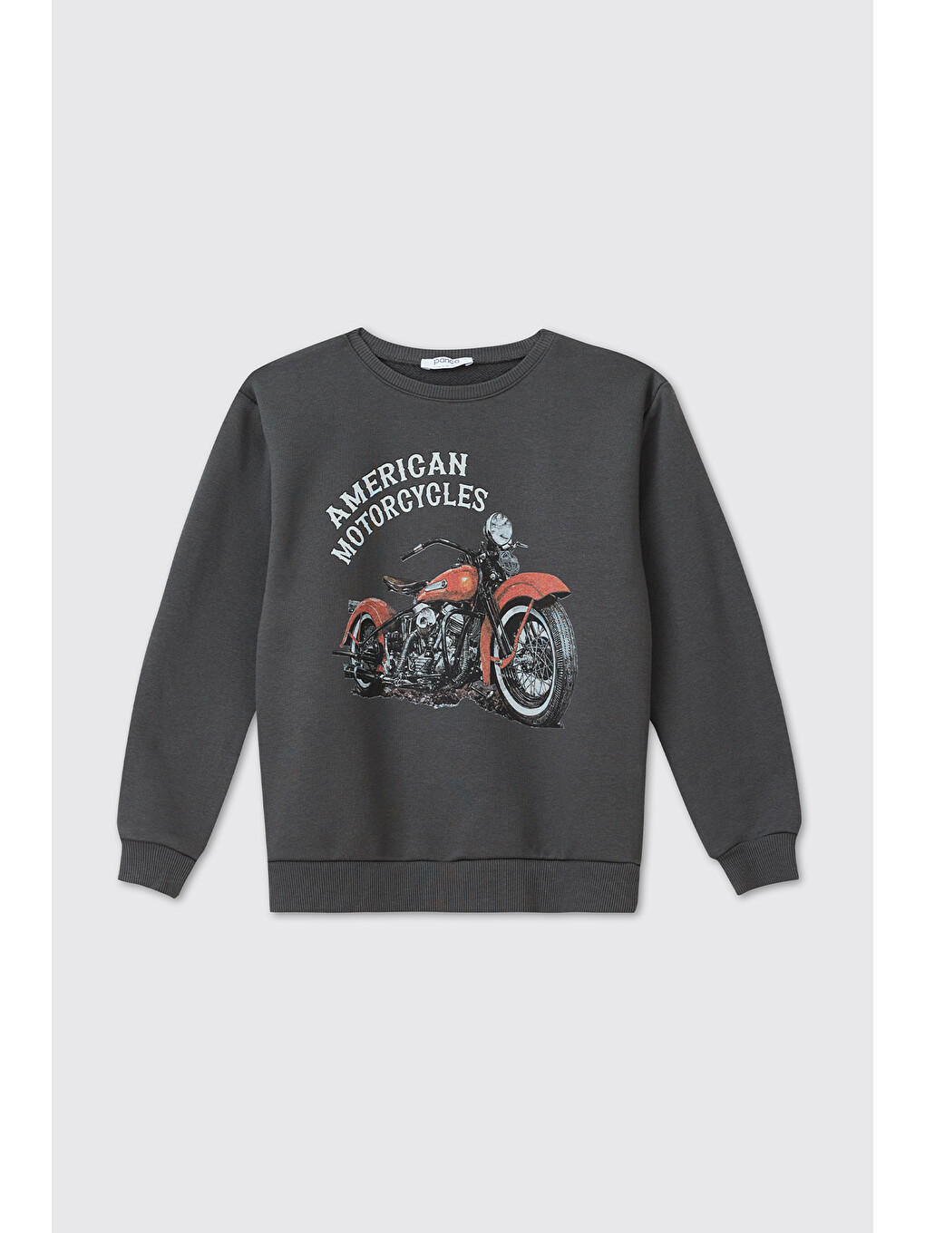 Erkek Çocuk Antrasit Sweatshirt
