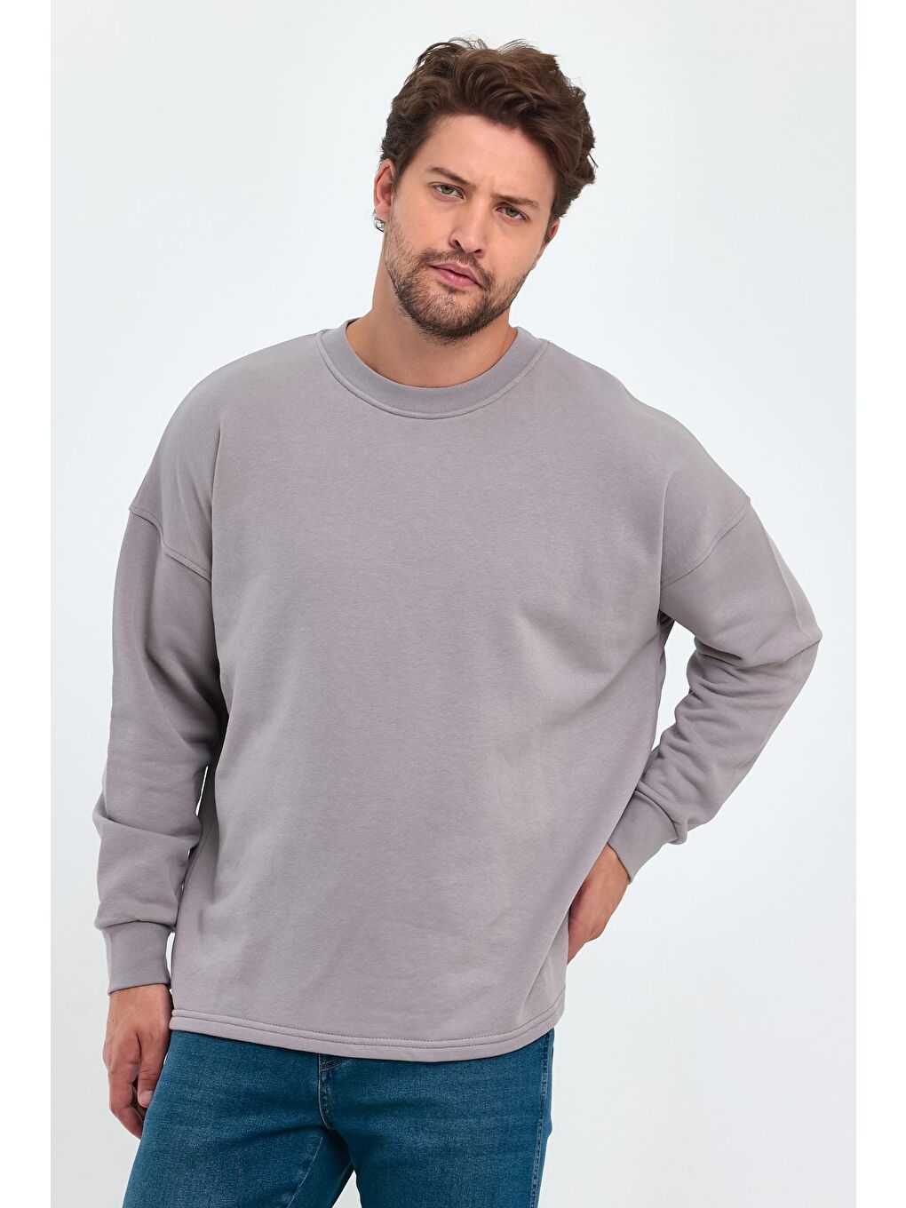 Rodi Mor 3 İplik Bisiklet Yaka Erkek Sweatshirt - 2