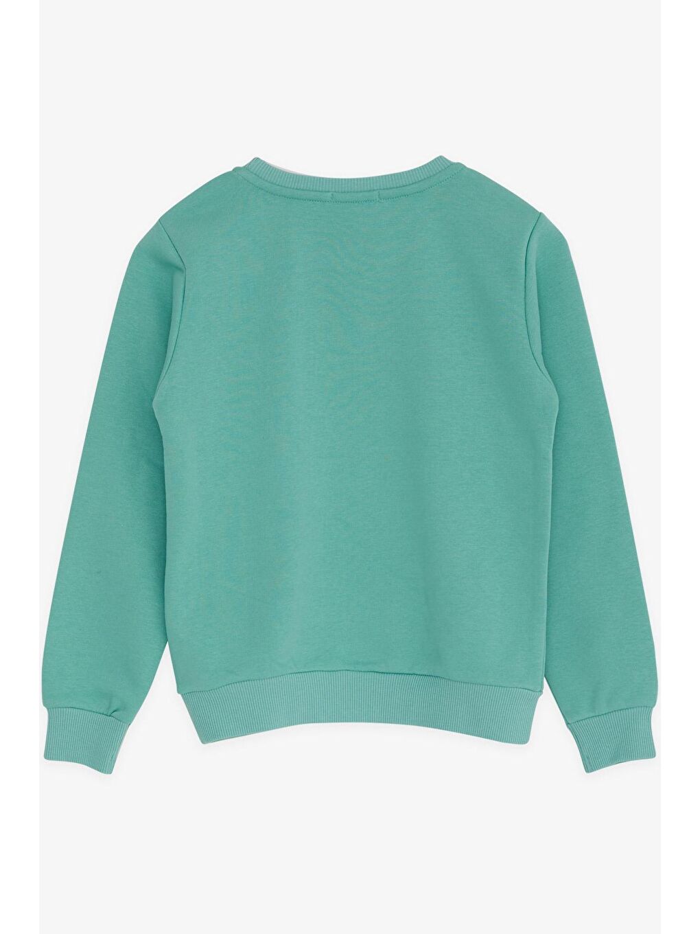 Breeze Su Yeşili Erkek Çocuk Sweatshirt Yazı Baslılı Mint Yeşili (14 Yaş) - 1