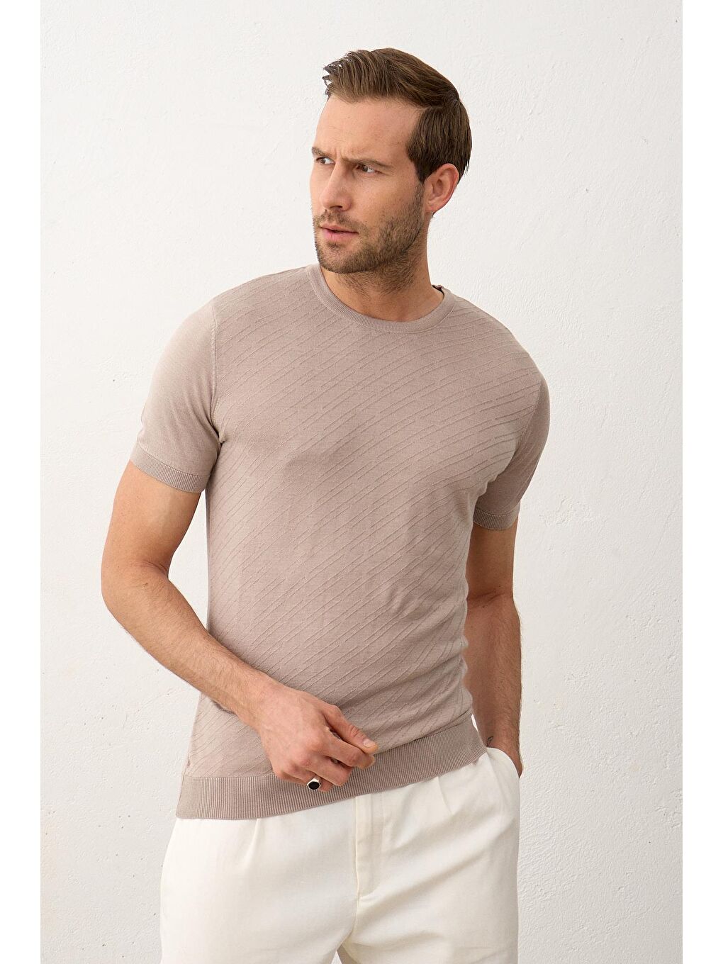 Bej Erkek Çizgili Bisiklet Yaka Slim-Fit İnce Triko Tişört Vizon