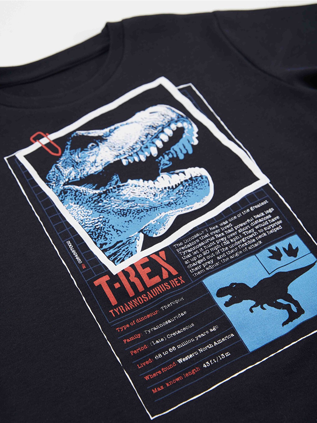 Karışık T-rex Info Erkek Çocuk Tişört Kapri Şort Takım-4