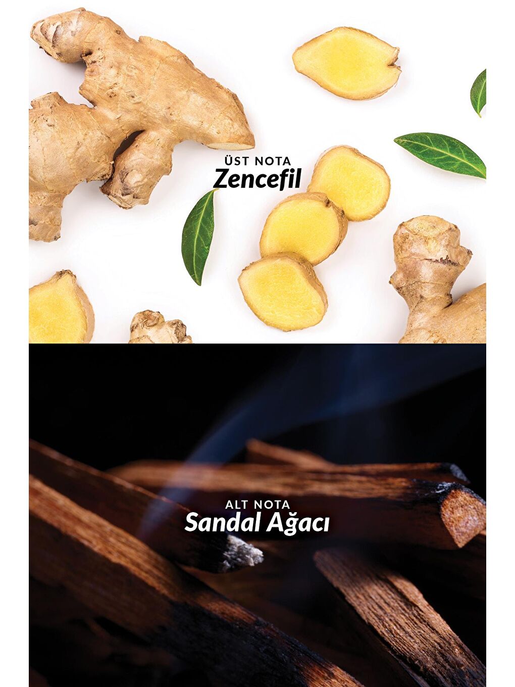 Musk Air Erkek Parfüm Edt 75 Ml. İkili Set-3