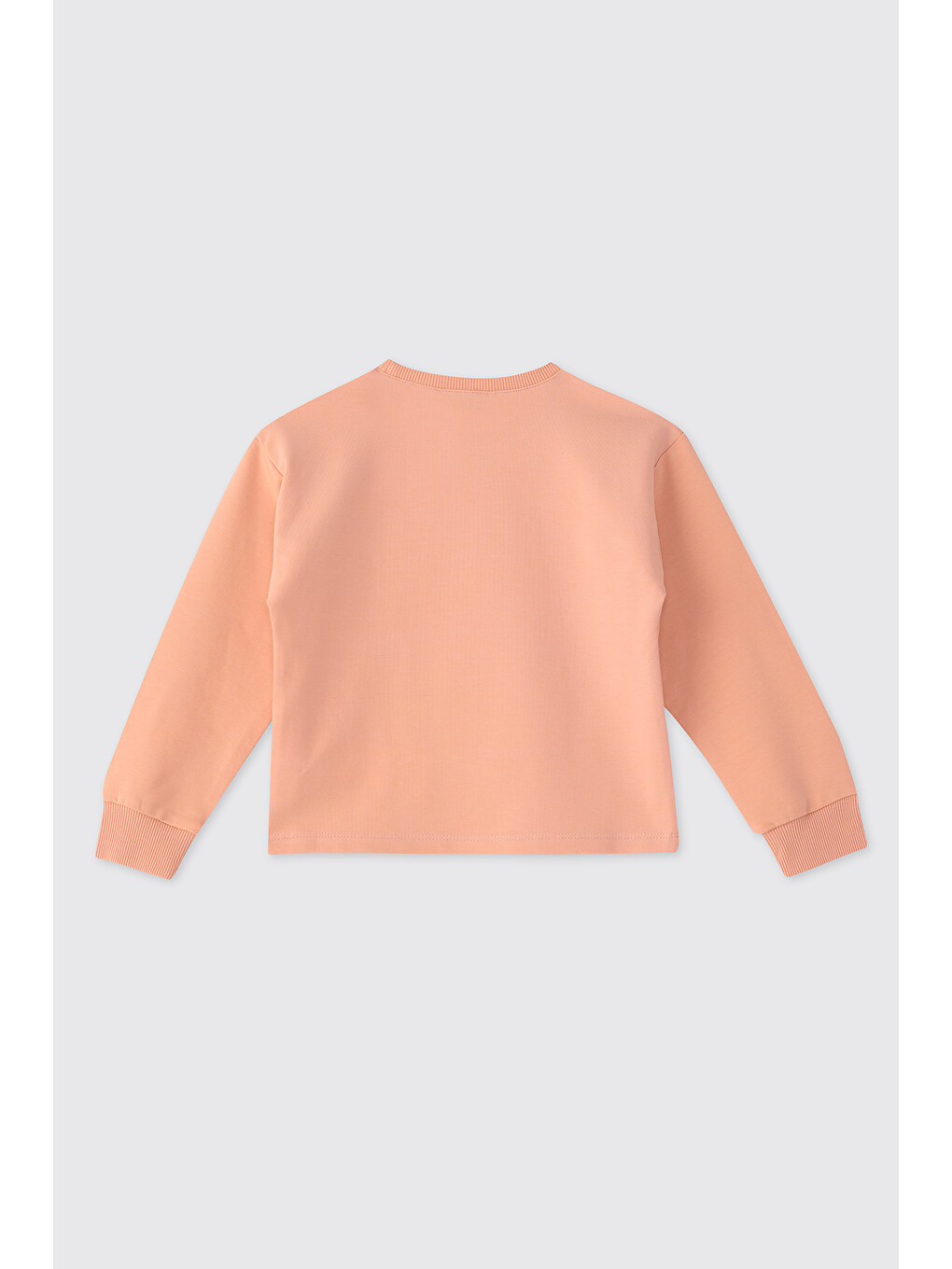 Pembe Kız Bebek Pudra Sweatshirt-1