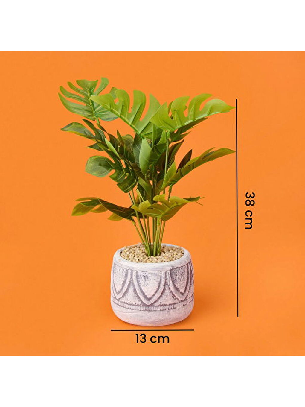 Karışık Beyaz Saksıda Deve Tabanı - Renkli - 13x38 cm-3