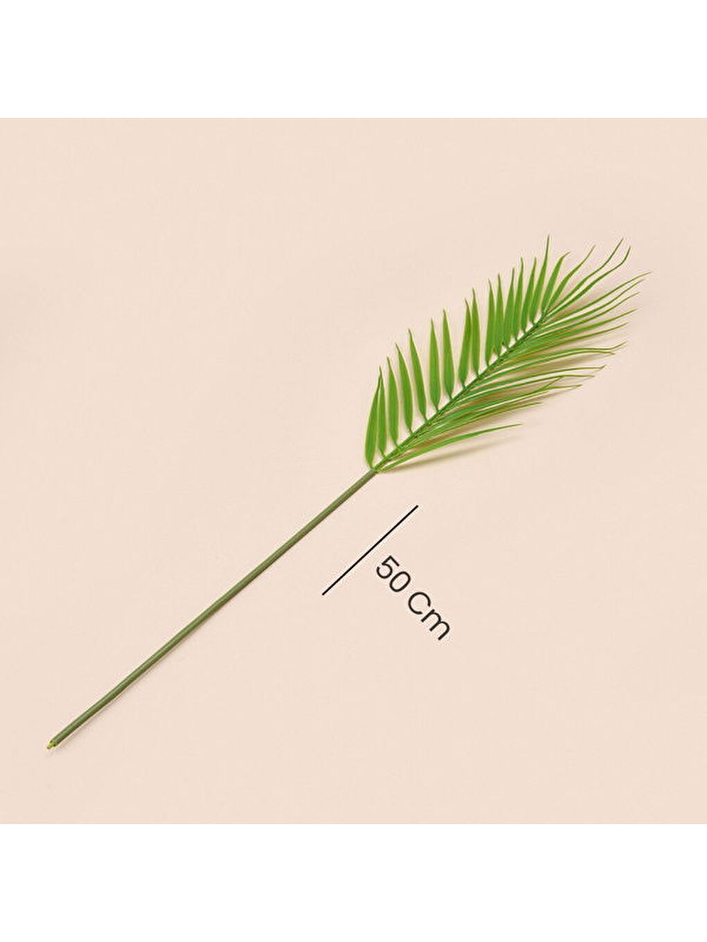 Areka Dal Çiçek - Yeşil - 50 cm-3