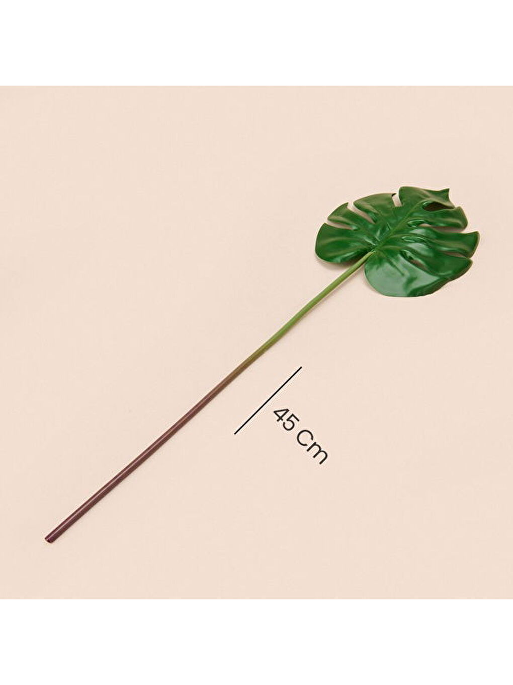 Deve Tabanı Dal Çiçek - Yeşil - 45 cm-3