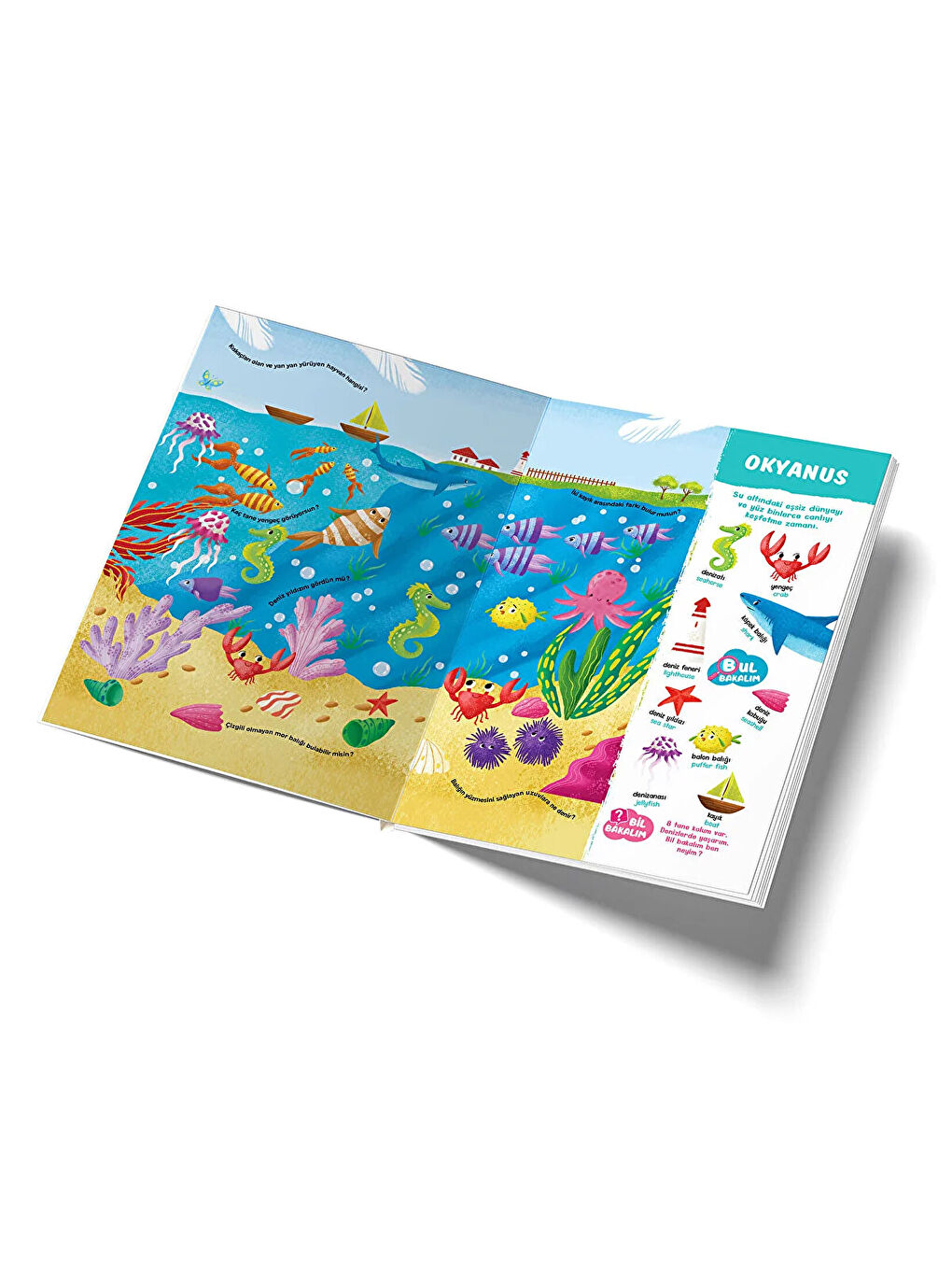 Bebeğim Konuşuyor Seti (12-36 Ay)-2