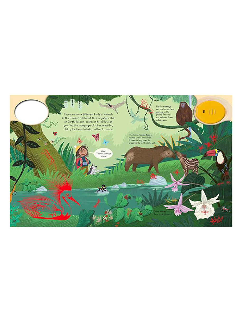 Magic Torch - Explore The Rainforest-1