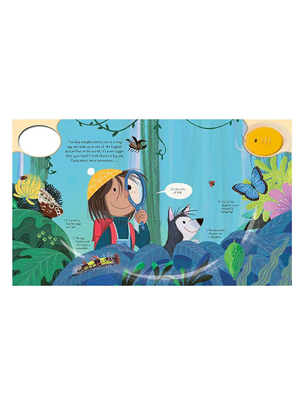 Magic Torch - Explore The Rainforest-2