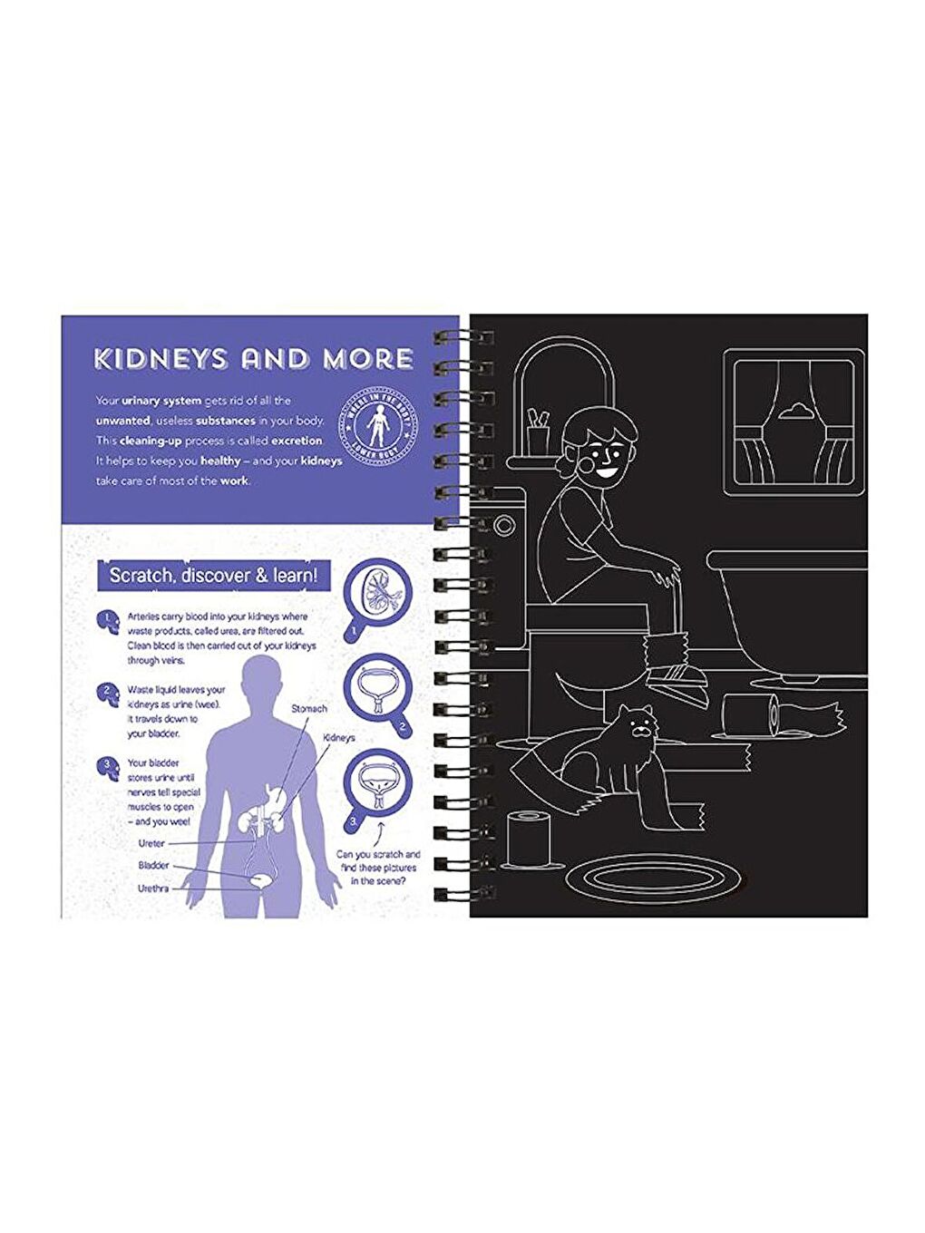 Human Body - Scratch, Discover and Learn (İnsan Vücudu)-1