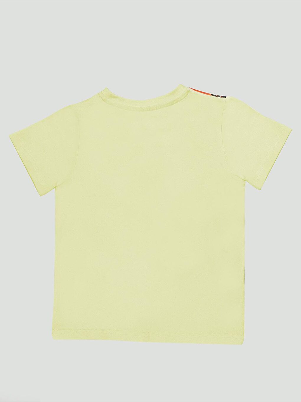 Sarı Roar Kaplan Erkek Çocuk Tişört-1