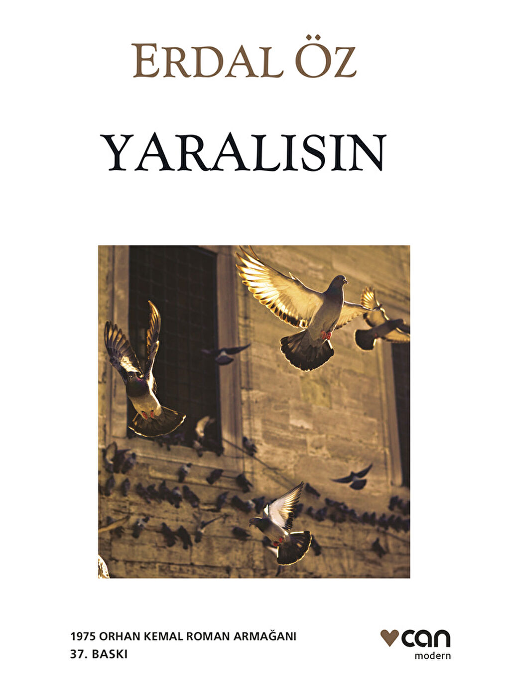 Yaralısın