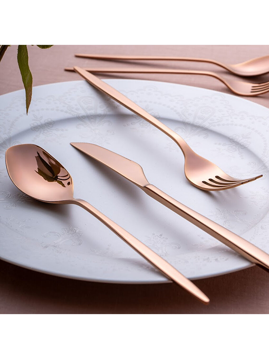 Sarı Alisa 30 Parça Parlak Bronz Kutulu Çatal Kaşık Bıçak Takımı-7