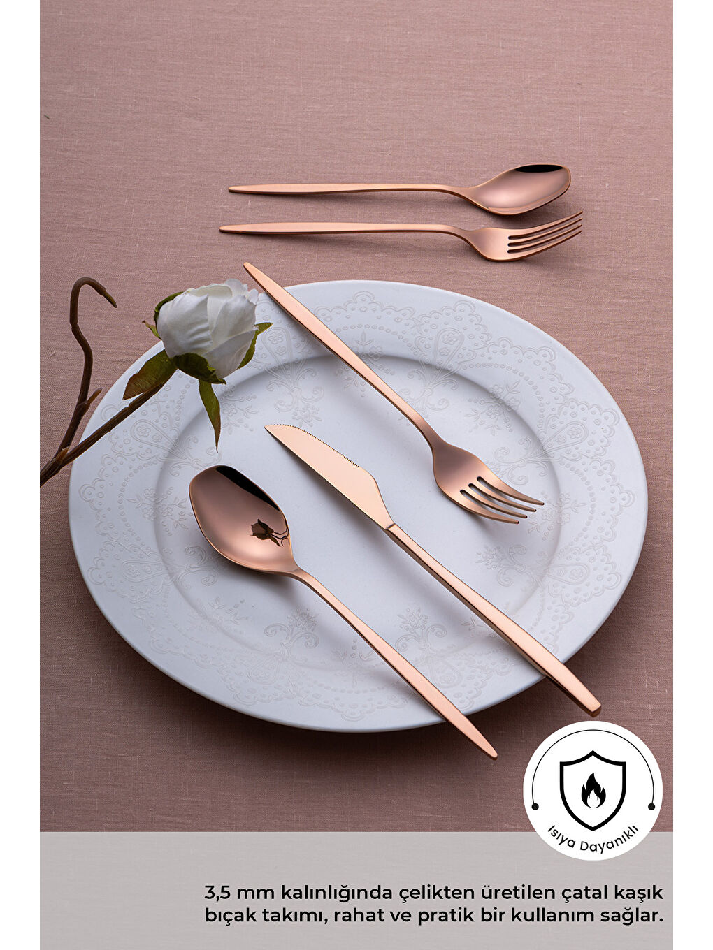 Sarı Alisa 30 Parça Parlak Bronz Kutulu Çatal Kaşık Bıçak Takımı-3