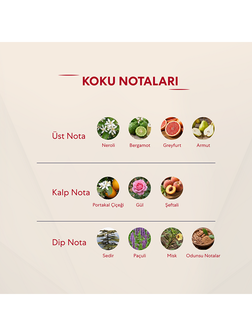 Kadın Parfüm Çiçeksi - 50ml Edp No:139-2