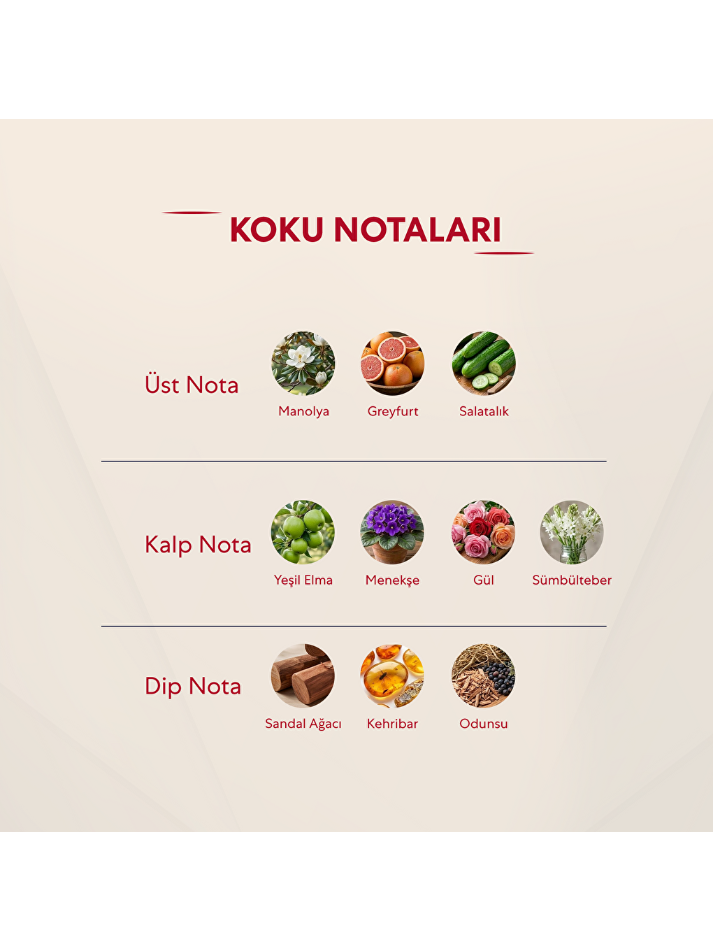 Kadın Parfüm Çiçeksi 50ml No:123-2