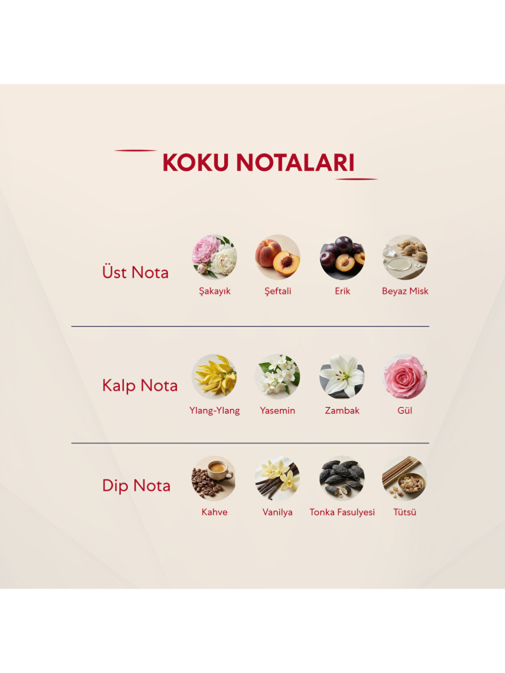 Kadın Parfüm Oryantal 50ml Edp No:226-2