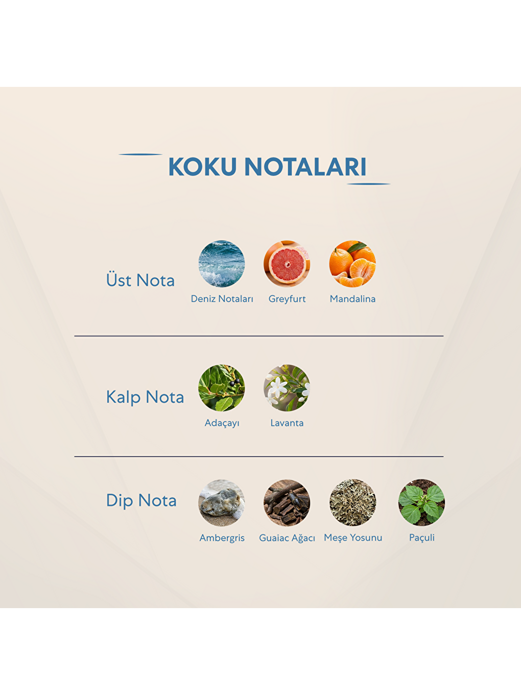 Erkek Deodorant - 150ml No:561-2