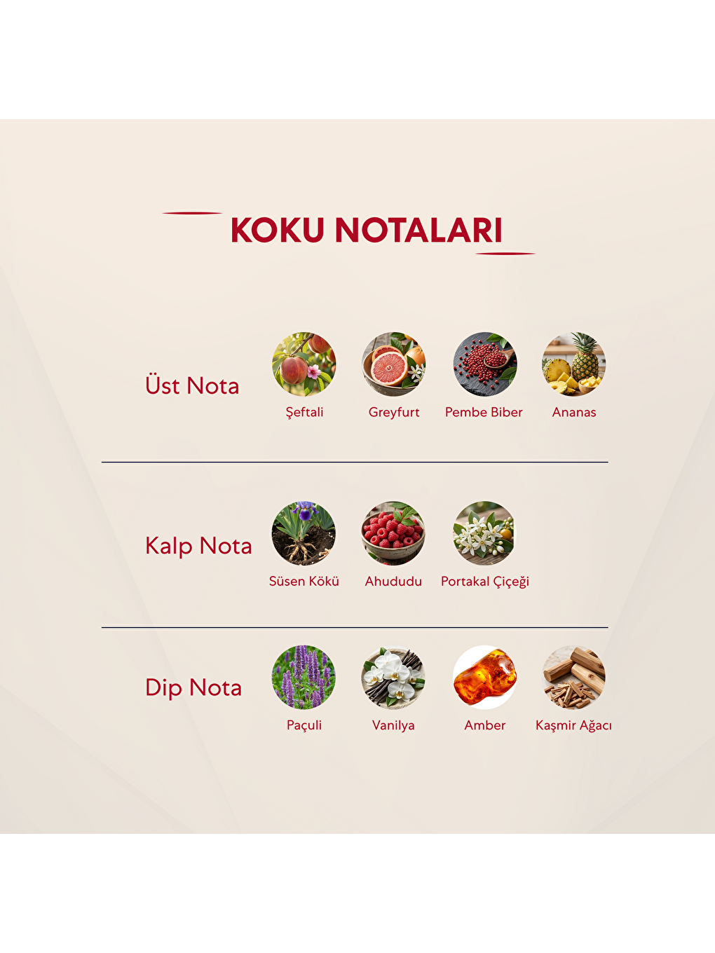 Kadın Parfüm Çiçeksi 50ml No :Ask1-2