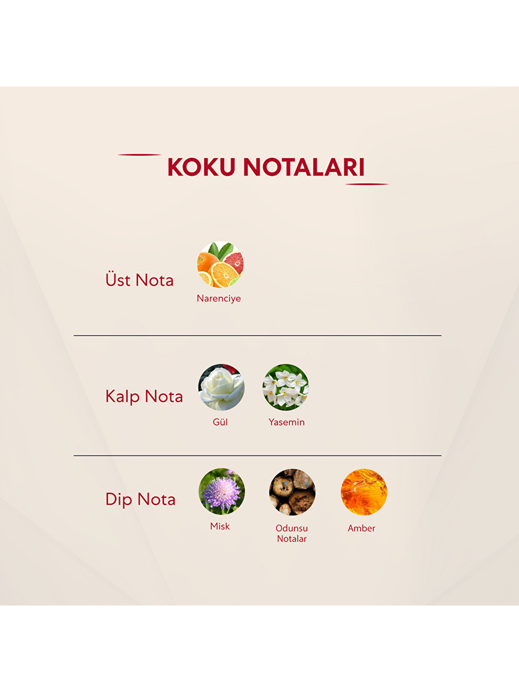 Kadın Parfüm Oriental - 50ml Edp No:444-2